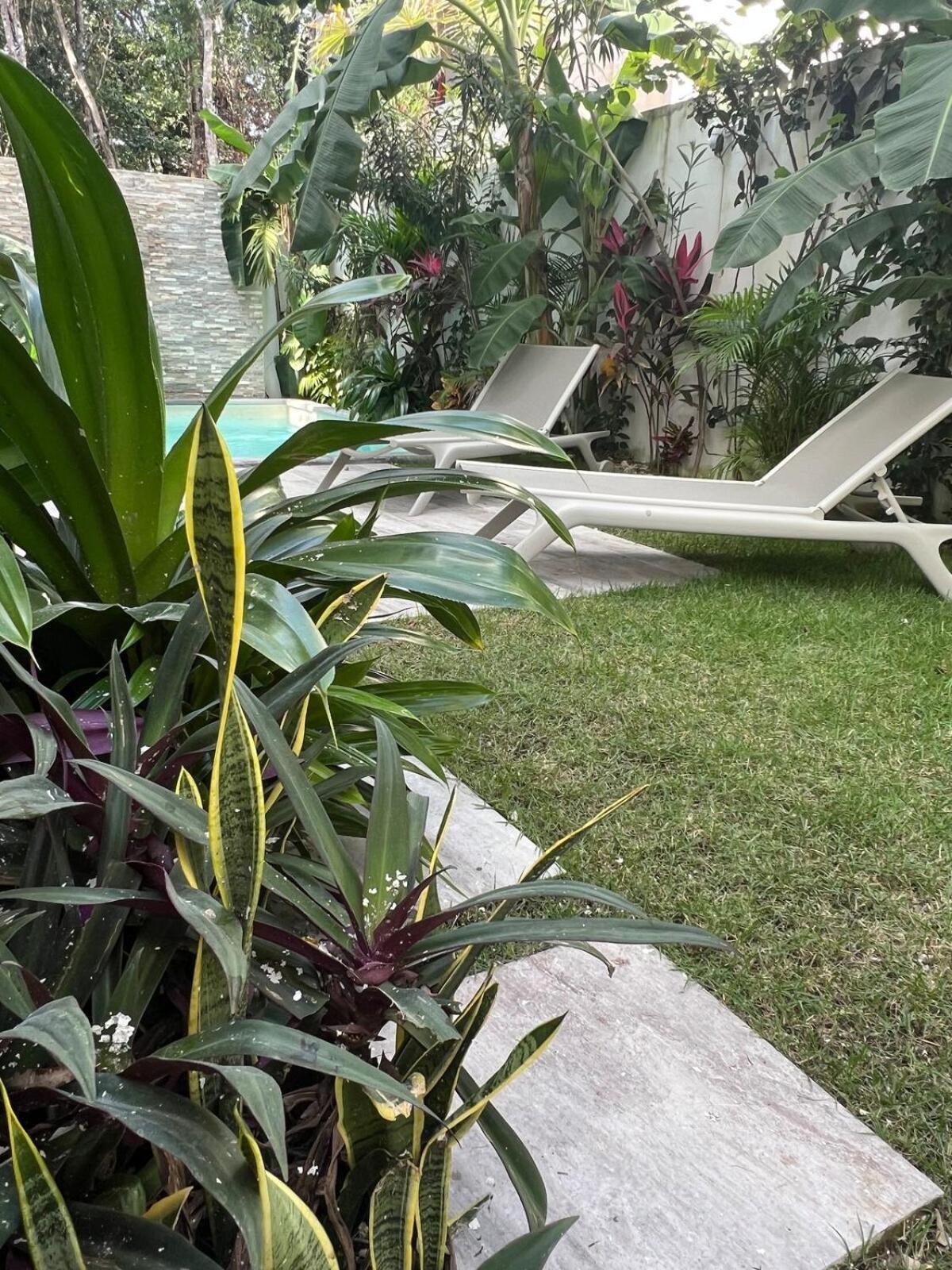Villa Luxury Vacation Near The Caribbean Ocean Playa del Carmen