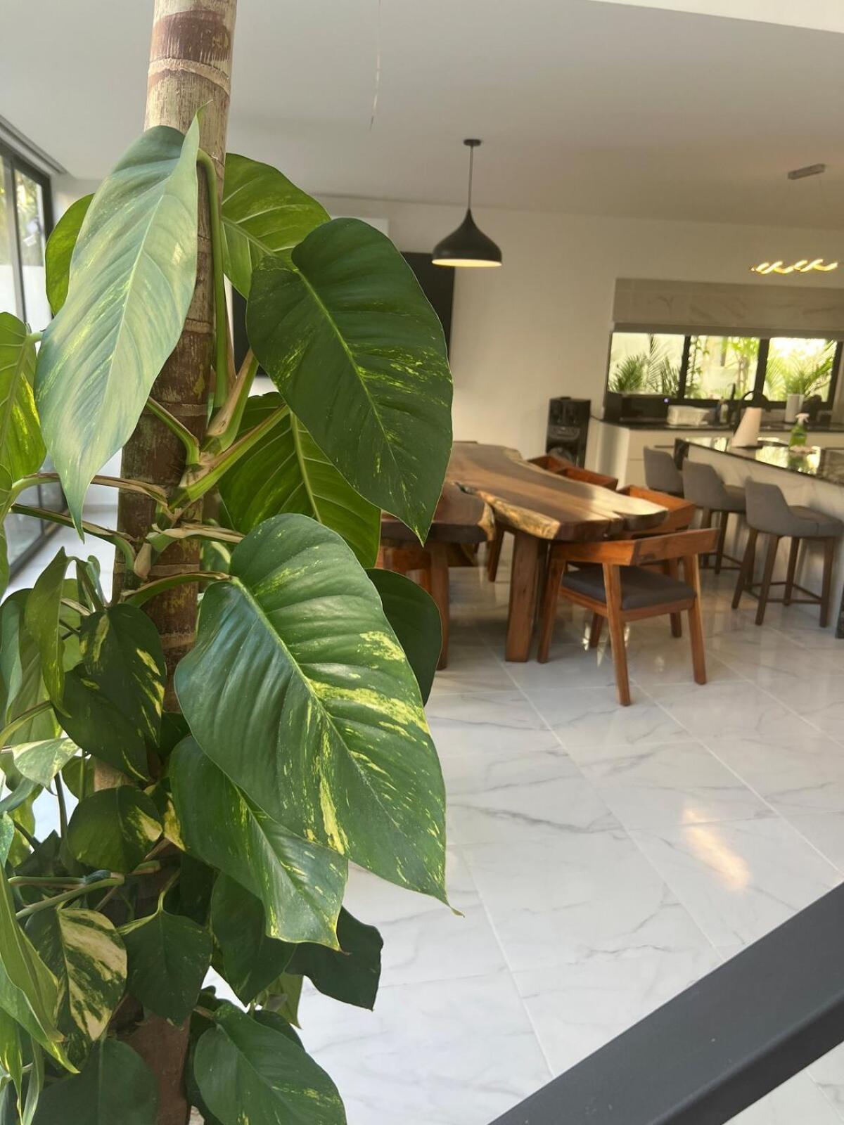 Luxury Vacation Near The Caribbean Ocean Villa Playa del Carmen